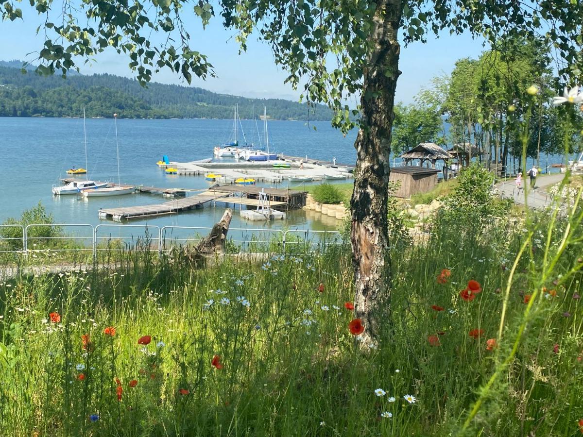 Apartament Czorsztyn Lake & Ski Esterno foto